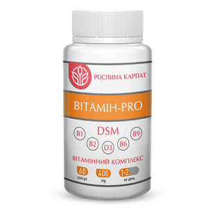 Вітамін - PRO 60 кап. 000000171 фото
