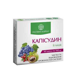 Капісудин 60 кап. 000000116 фото