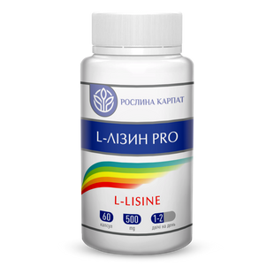 L-Лізин Pro 60 кап. 000000135 фото